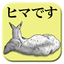 From behind of animals sticker #5501978