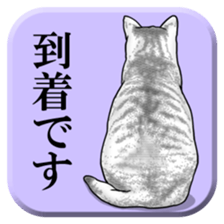 From behind of animals sticker #5501982