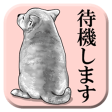 From behind of animals sticker #5501983