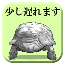 From behind of animals sticker #5501985