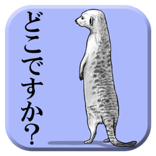 From behind of animals sticker #5501986