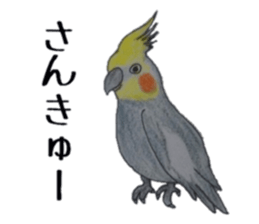 Feeling of Birds sticker #5504471