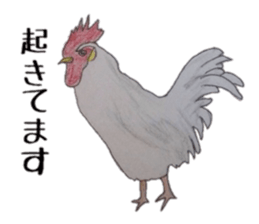 Feeling of Birds sticker #5504481