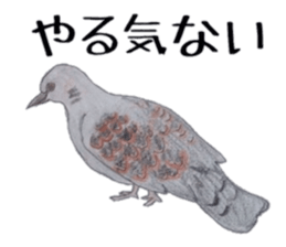 Feeling of Birds sticker #5504495