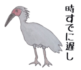 Feeling of Birds sticker #5504499