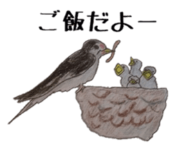 Feeling of Birds sticker #5504501