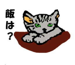 Realistic cat sticker #5505749