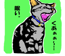 Realistic cat sticker #5505756