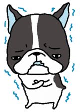 French Bulldog Pide Sticker sticker #5511379