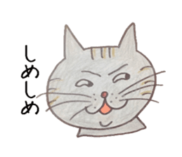 Americanshort daily hair cat. sticker #5511662