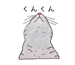 Americanshort daily hair cat. sticker #5511663