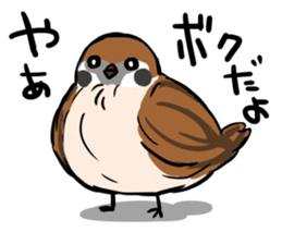 wild sparrow sticker #5513148