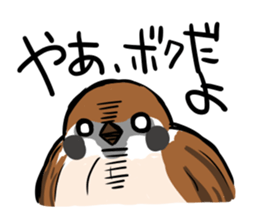 wild sparrow sticker #5513149