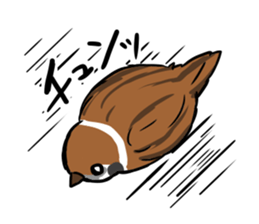 wild sparrow sticker #5513150