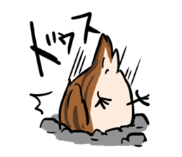 wild sparrow sticker #5513151