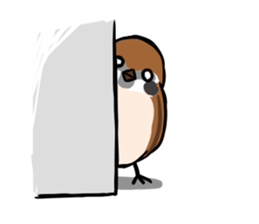 wild sparrow sticker #5513163