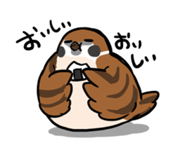 wild sparrow sticker #5513168