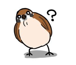 wild sparrow sticker #5513172