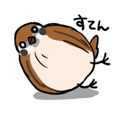 wild sparrow sticker #5513173