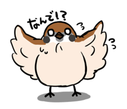 wild sparrow sticker #5513174
