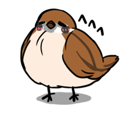 wild sparrow sticker #5513176