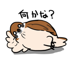 wild sparrow sticker #5513178