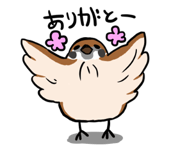wild sparrow sticker #5513180