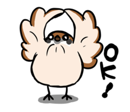 wild sparrow sticker #5513184