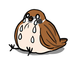 wild sparrow sticker #5513185