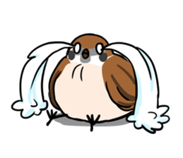 wild sparrow sticker #5513186