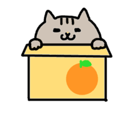 Kawaii cats! sticker #5513459