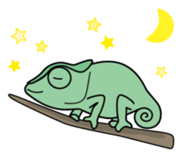 Cute chameleon "Lovely" sticker #5517014