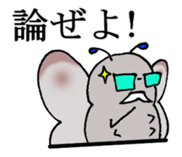 5W1H of the insect teacher sticker #5518768