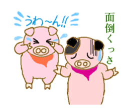 fine yoshi boy of a mini pig. sticker #5520707