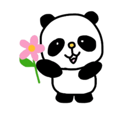 HELLO Panda sticker #5521840