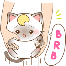 Suki, the girly siamese kitten sticker #5523296