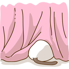 Suki, the girly siamese kitten sticker #5523313