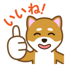 Taro Shiba Inu Part2 sticker #5526236