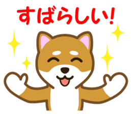 Taro Shiba Inu Part2 sticker #5526238