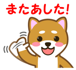 Taro Shiba Inu Part2 sticker #5526248