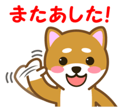 Taro Shiba Inu Part2 sticker #5526248