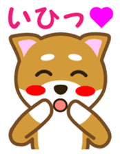 Taro Shiba Inu Part2 sticker #5526254
