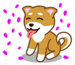 Taro Shiba Inu Part2 sticker #5526257
