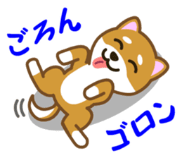 Taro Shiba Inu Part2 sticker #5526258