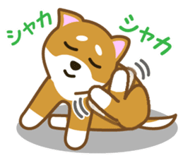 Taro Shiba Inu Part2 sticker #5526259