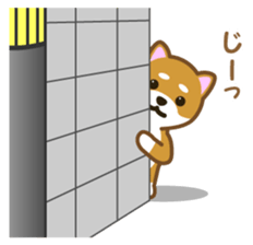 Taro Shiba Inu Part2 sticker #5526260