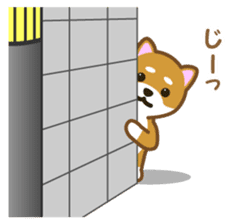 Taro Shiba Inu Part2 sticker #5526260