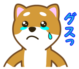 Taro Shiba Inu Part2 sticker #5526268