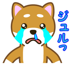 Taro Shiba Inu Part2 sticker #5526269
