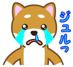 Taro Shiba Inu Part2 sticker #5526269